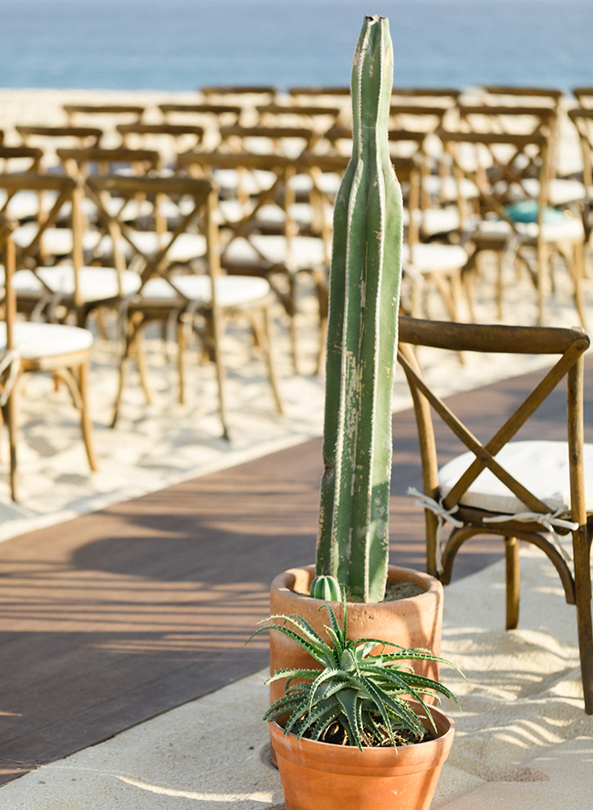 Elegant Beach Wedding in Cabo