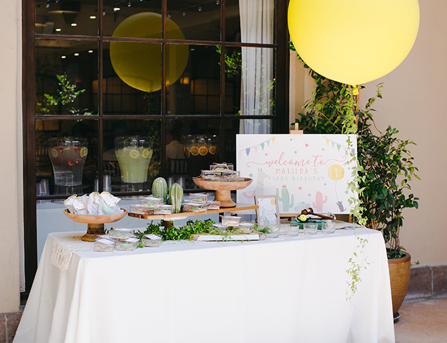 A Fun Llama First Birthday Party