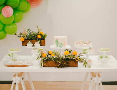 A Fun Llama First Birthday Party