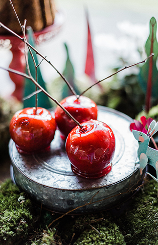 Little Red Riding Hood Birthday Party 