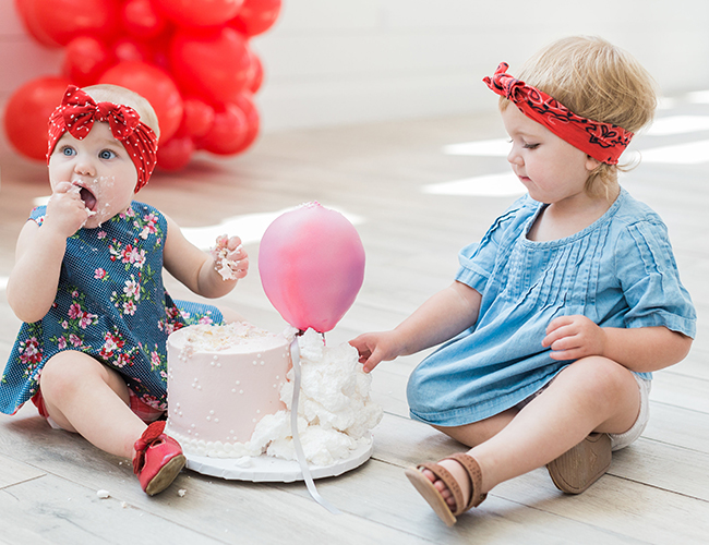 Gingham Picnic Inspired First Birthday Party