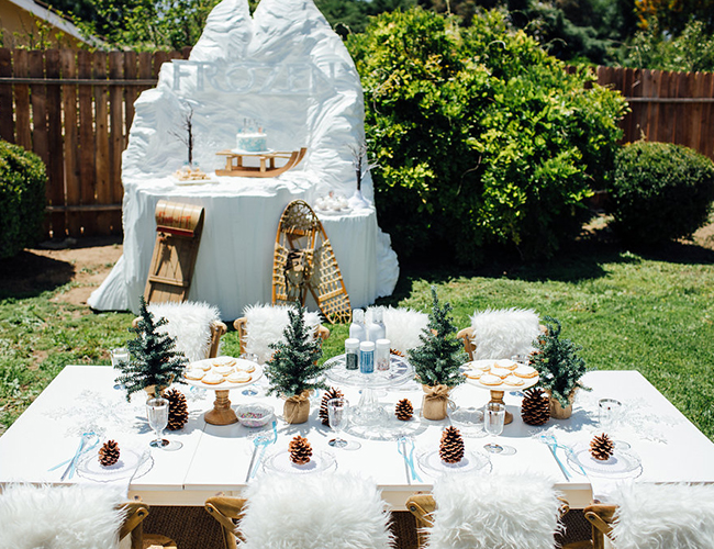 Frozen Themed Birthday Party