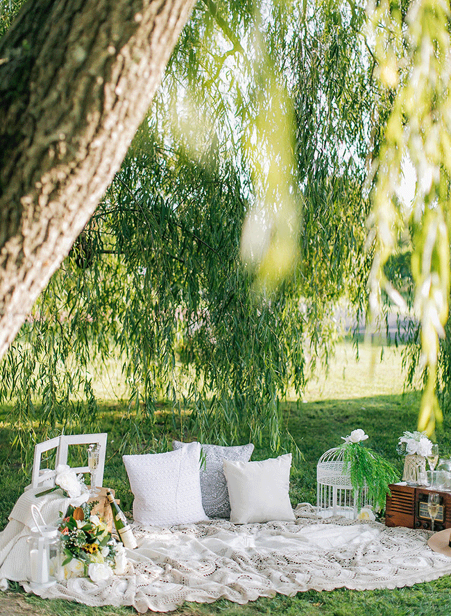 Picnic Engagement Session at A Winery