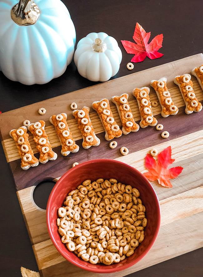 Fun Dog Treat Recipes for Fall