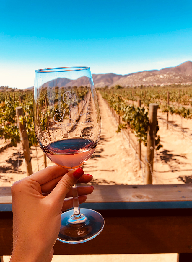 Weekend in Mexico's Wine Country