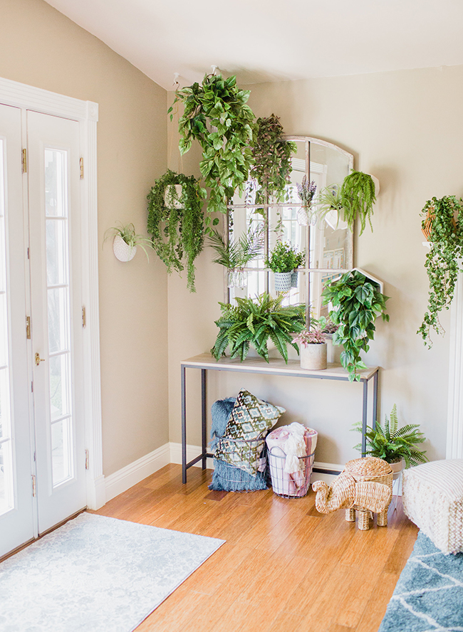 A DIY Living Plant Wall Installation