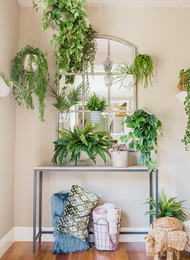 A DIY Living Plant Wall Installation