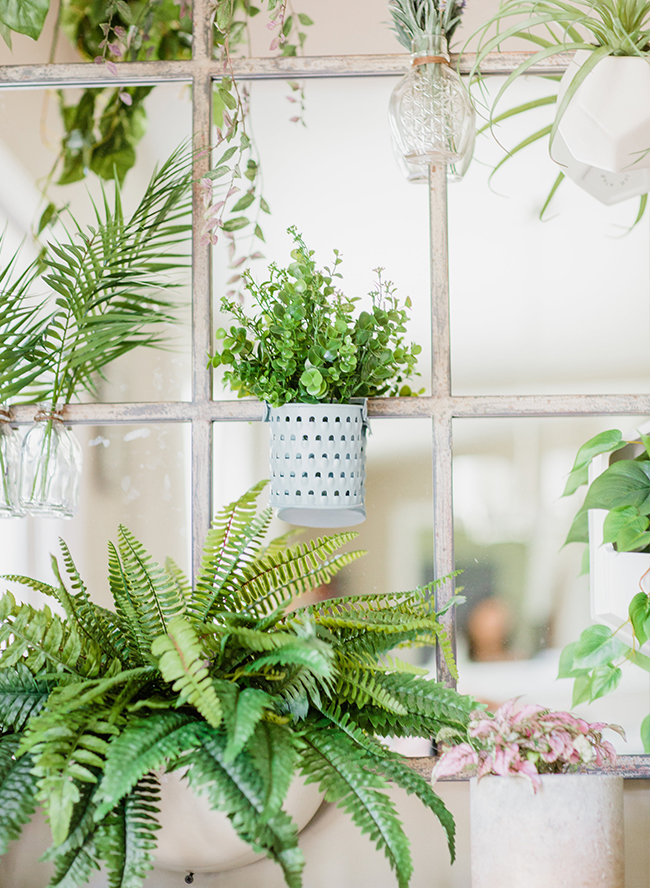 A DIY Living Plant Wall Installation