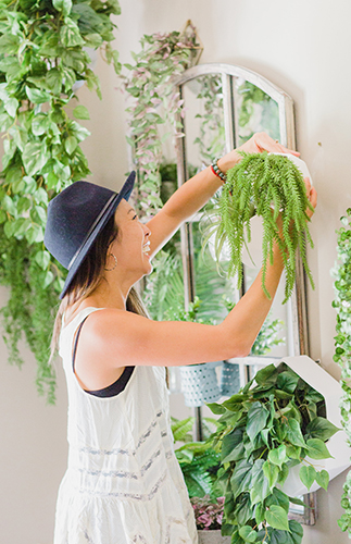 A DIY Living Plant Wall Installation