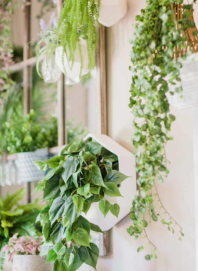 A DIY Living Plant Wall Installation