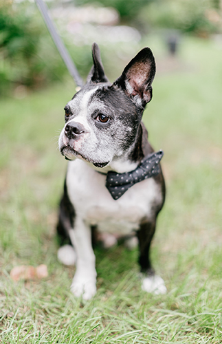 Countryside Wedding at Woolverton Inn