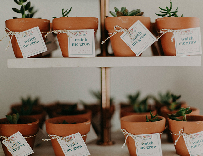 fiesta baby shower party favors