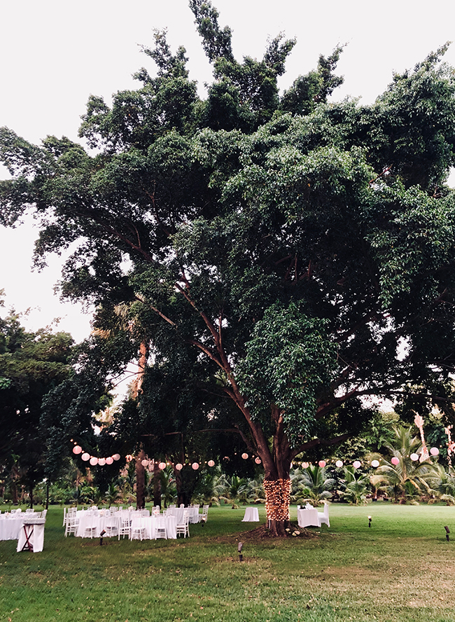 jamaica destination wedding, destination wedding and honeymoon