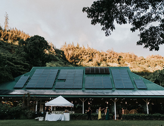 Waimea Valley wedding, boho wedding