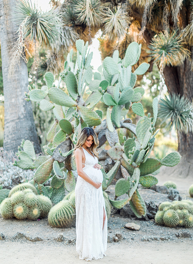 Cactus Garden Maternity