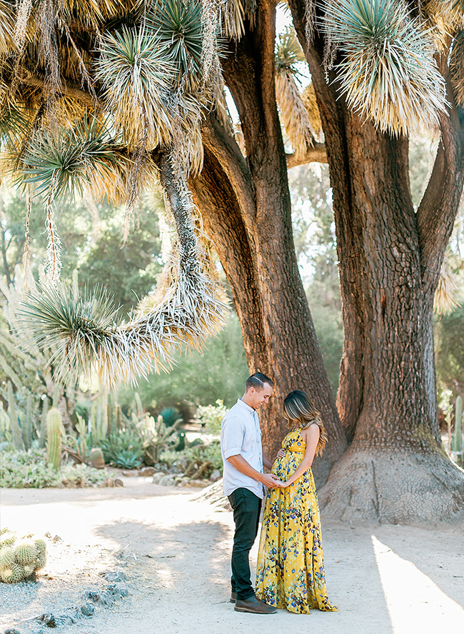 Cactus Garden Maternity