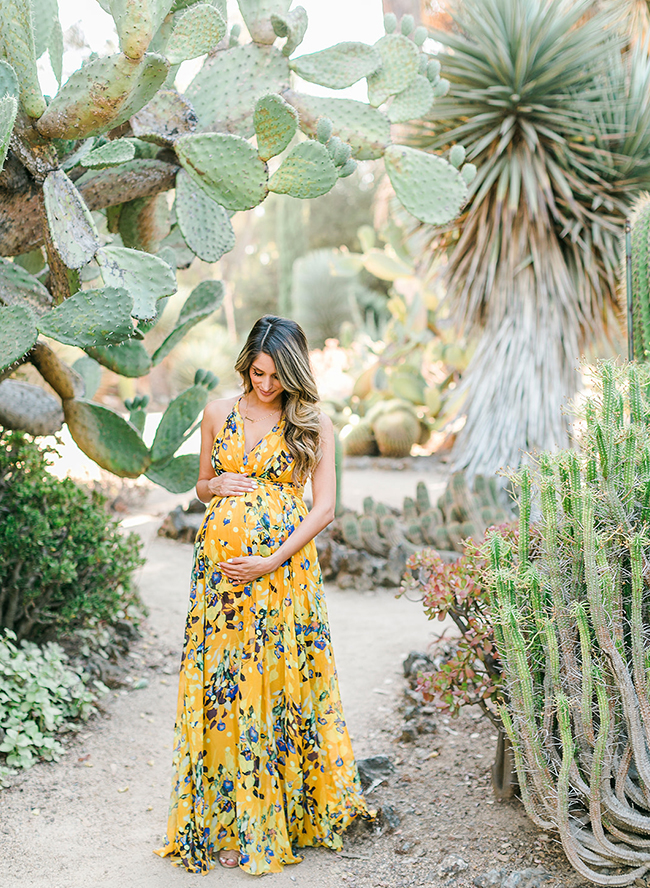 Cactus Garden Maternity