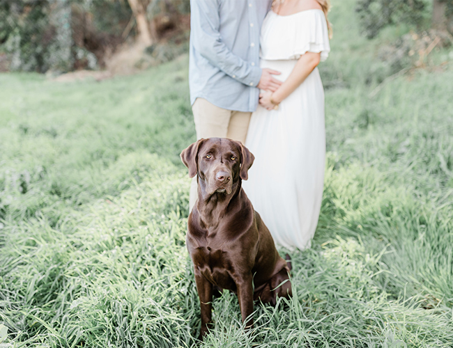 California Farm Maternity Photos