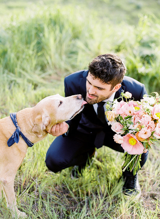 Romantic Photoshoot, Love Photoshoot