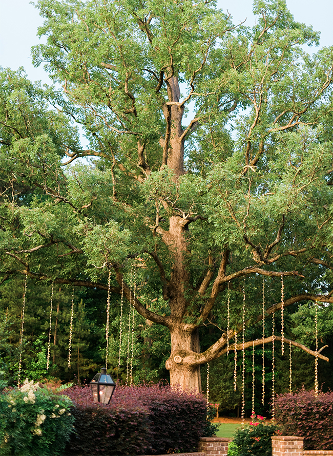 Natural Wedding in North Carolina 