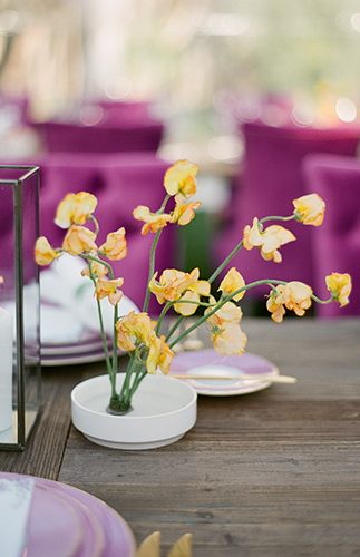 Lavender Dinner Party, San Ysidro Ranch