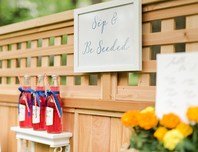 4th Of July Party, Outdoor Engagement Party Inspiration, Engagement Party