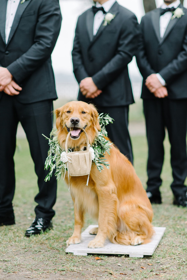 Grey and Ivory Wedding at Lowndes Grove - Inspired by This