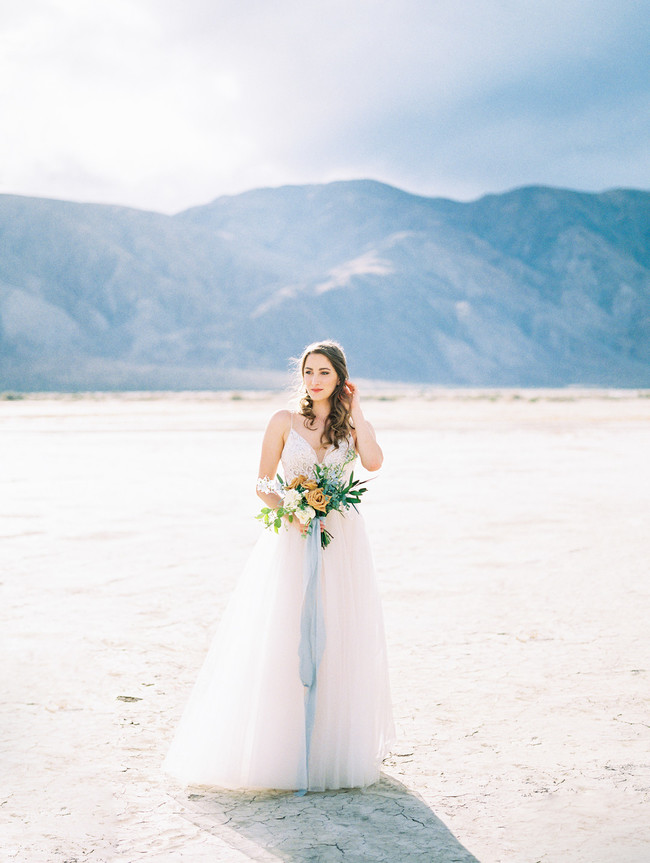 Anza Borrego Desert Wedding -Inspired by This