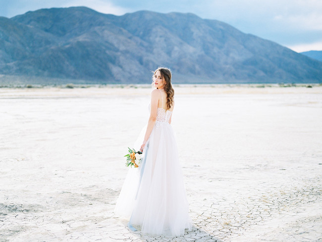 Anza Borrego Desert Wedding -Inspired by This