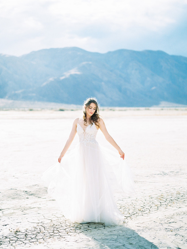 Anza Borrego Desert Wedding -Inspired by This