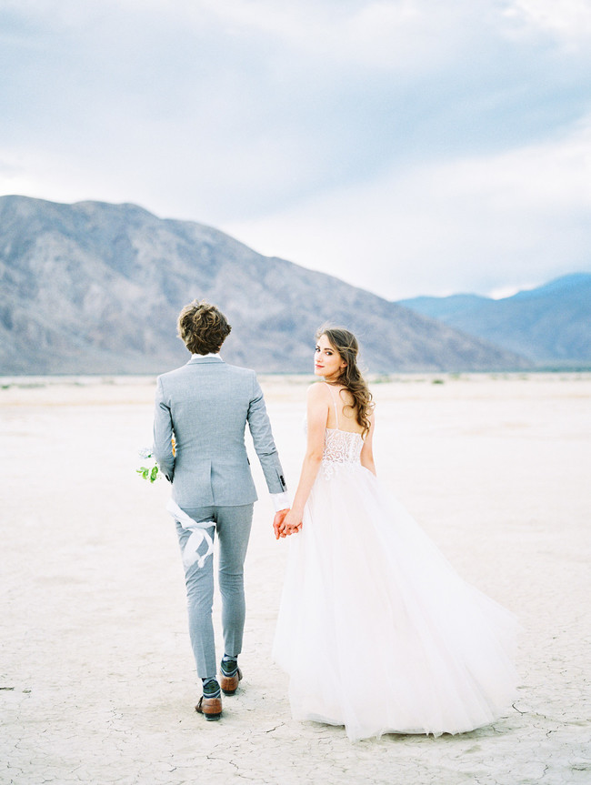 Anza Borrego Desert Wedding -Inspired by This