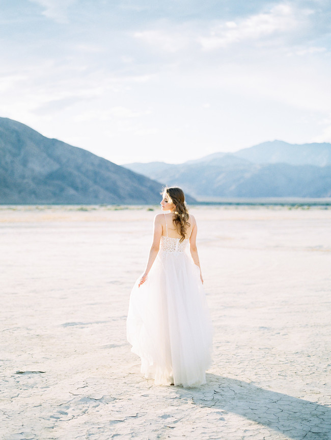 Anza Borrego Desert Wedding -Inspired by This