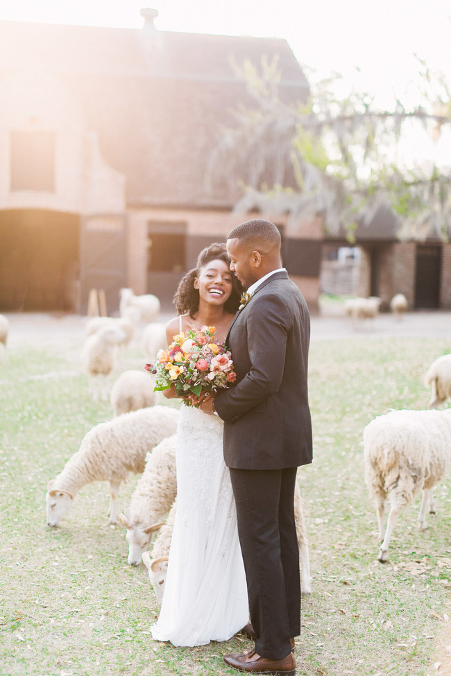 Sheep in Wedding Dress