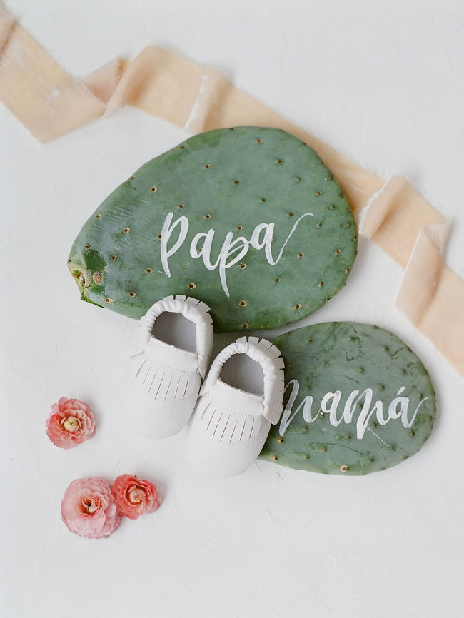 cactus baby shower