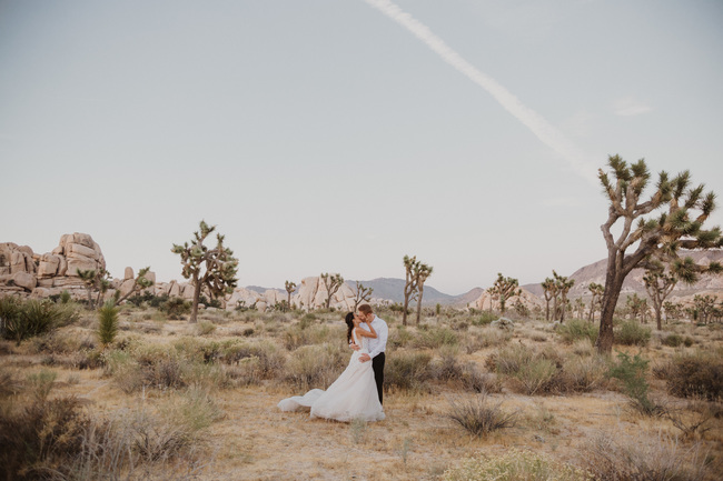 joshua tree vow renewal