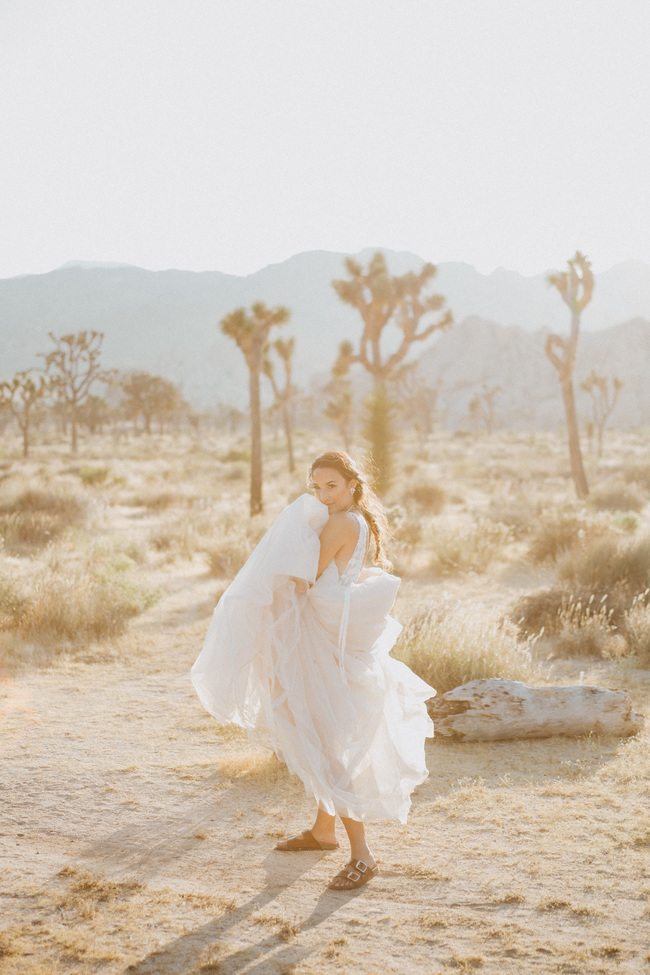 joshua tree vow renewal