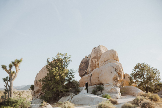 joshua tree vow renewal