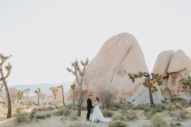 joshua tree vow renewal