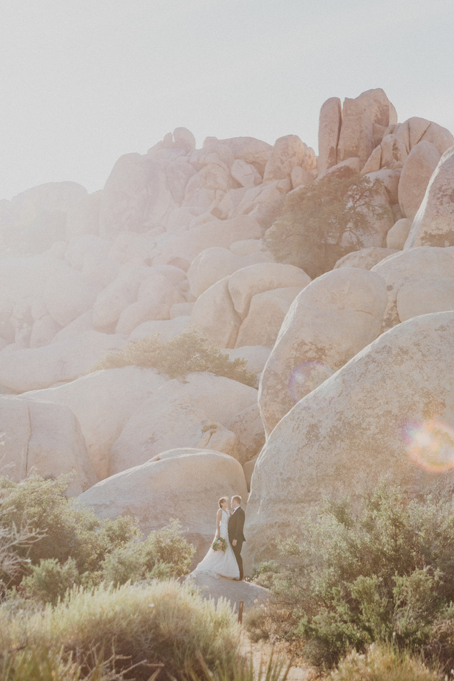 joshua tree vow renewal