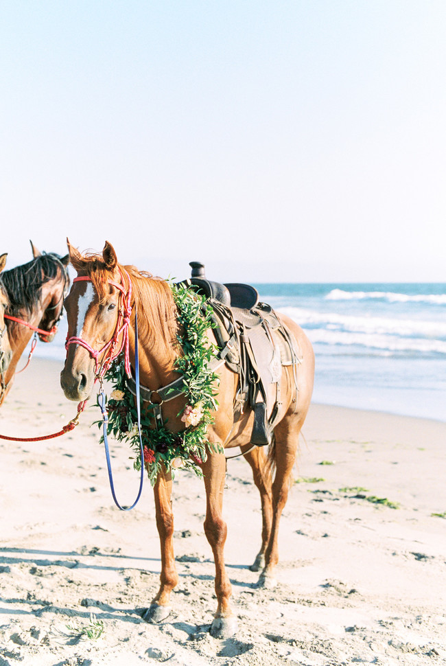 Horseback Riding Turned Surprise Sunset Proposal - Inspired by This