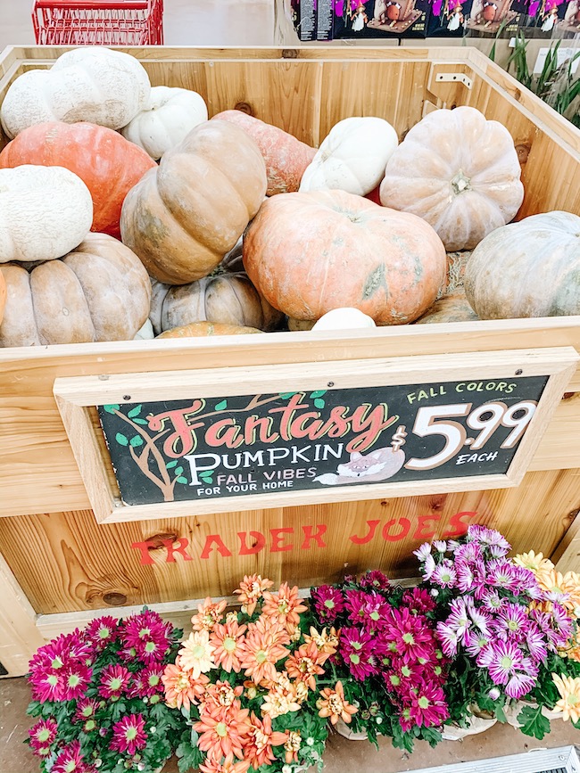Our Favorite Seasonal finds at Trader Joes