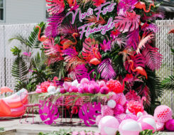 DCFB9F44-76F5-4B1D-88D9-004ACBB03666