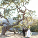 Neutral Book Themed Wedding, Wedding in Carmel
