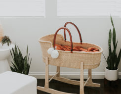 Nursery Must-Haves