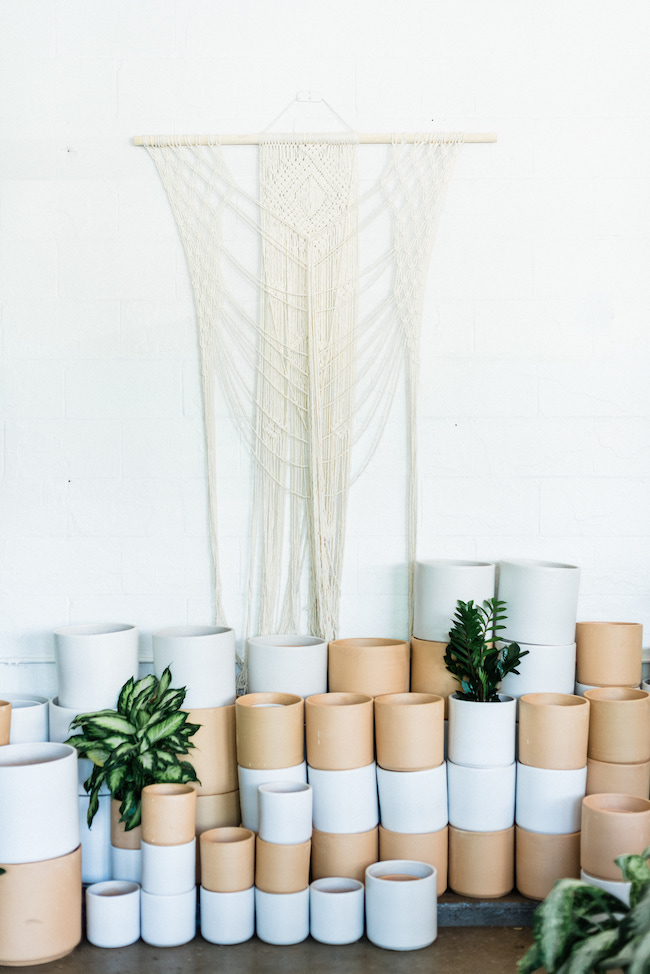 elopement in a plant shop