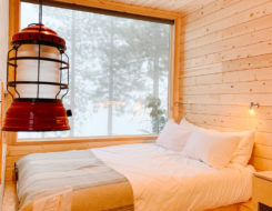 UNADJUSTEDNONRAW_thumb_23