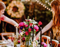 AmberSolCollective,LesleyCastle1