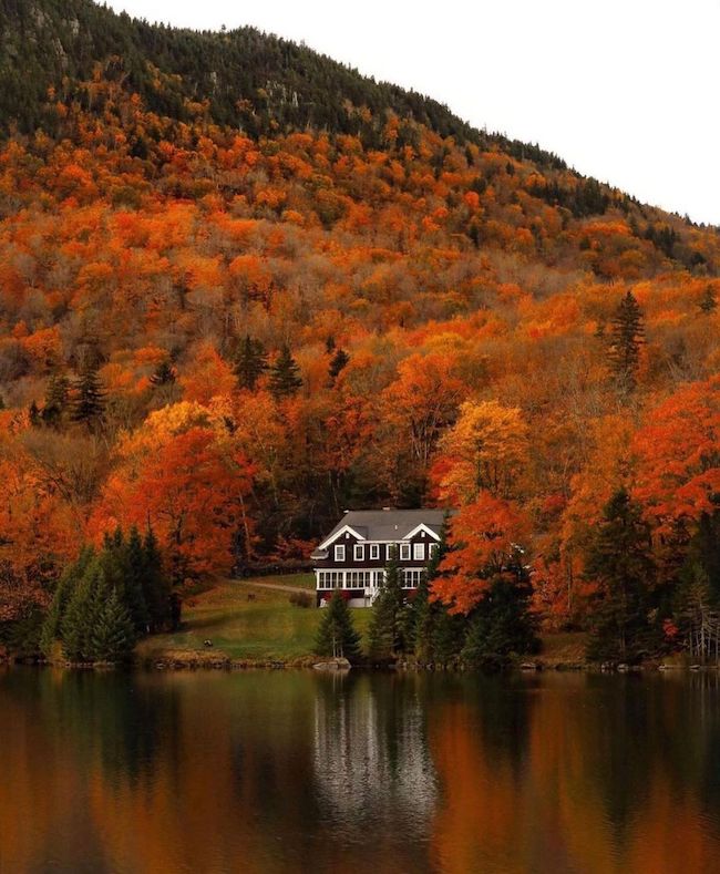 8 Air BnB's That Are Perfect For Autumn