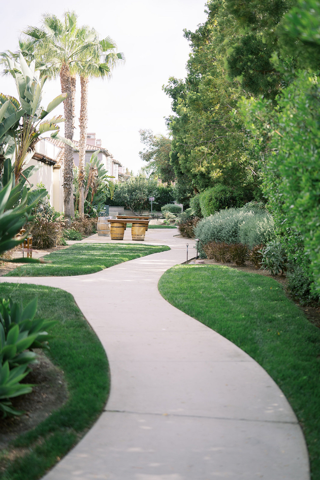 Sophisticated Lush Green & Classic White Wedding