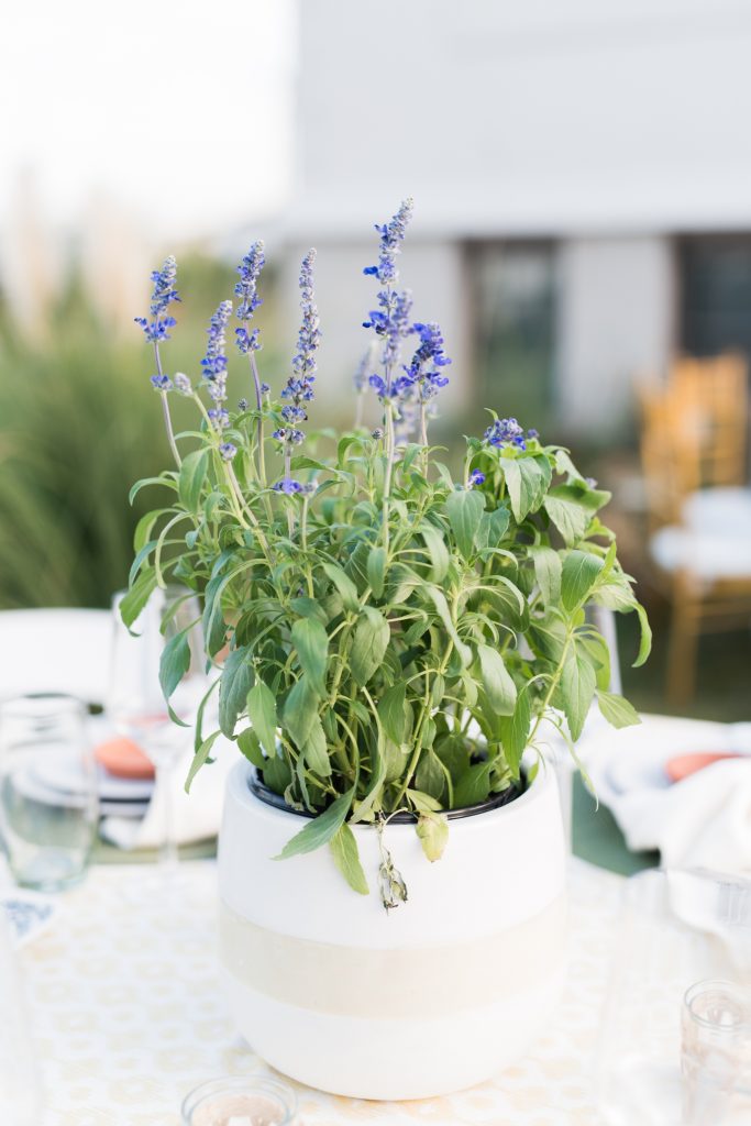 Everything's Bigger In Texas Big Fake Wedding Dallas